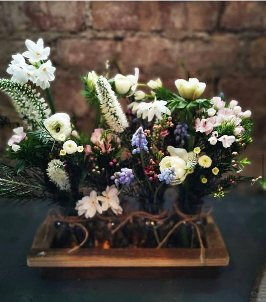 Blooms & Beyond: A Floral Journey Through Seasons