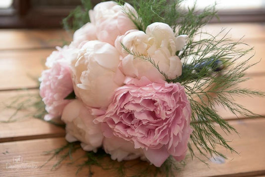 Peony Special Offer - Available from Monday