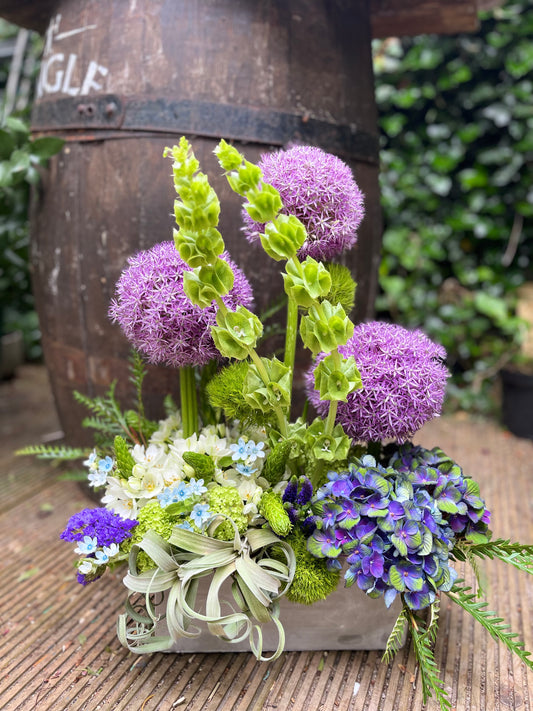 The Allium and Friends