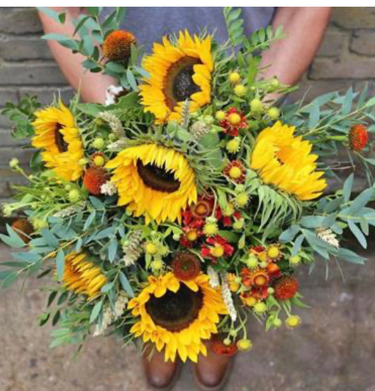 Beautiful Sunflowers