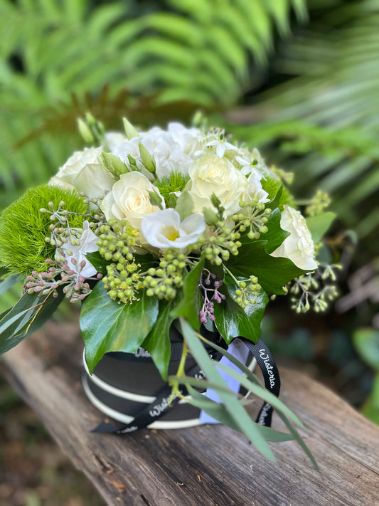 Chic Ivory