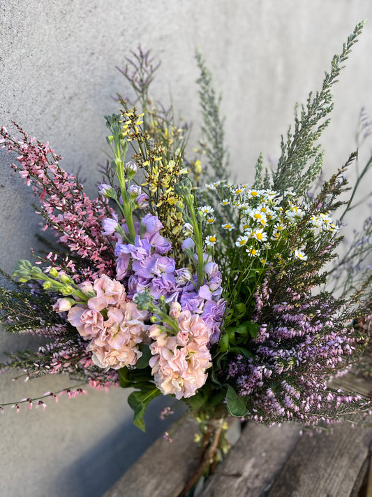 Wild Spring